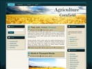 Thumbnail Cornfield WP Theme with Master Resell Rights 