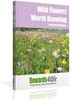 Thumbnail Wild Flowers Worth Knowing Thumbnail Wild Flowers Worth Knowing