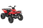 Thumbnail Polaris TrailBoss 330 / TrailBlazer 330 service manual repair 2009