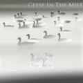 Thumbnail Classical Ringtones Geese In The Mist MP3 Album