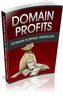 Thumbnail Domain Profits