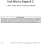 Thumbnail 17 Hot Niches Revealed Thumbnail 17 Hot Niches Revealed