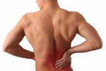 Thumbnail Back Pain Plr Articles- 5 Pack