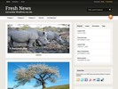 Thumbnail wordpress premier WOOtheme(fresh news) + Bonus: 60