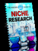 Thumbnail Guide to Niche Research
