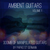 Thumbnail Ambient Guitars Vol 1