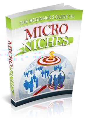 Thumbnail Beginners Guide to Micro Niches