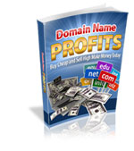 Thumbnail Domain Name Profits  