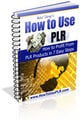 Thumbnail How to Use PLR - Ebook