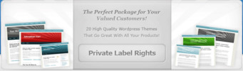Thumbnail PLR Bonus Package (plr)