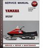 Thumbnail Yamaha BR250F Factory Service Repair Manual Download Pdf
