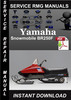 Thumbnail Yamaha Snowmobile BR250F Service Repair Manual Download