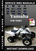 Thumbnail Yamaha YFM 700RV Service Repair Manual Download