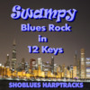 Thumbnail Swampy Blues Rock In 12 Keys
