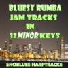 Thumbnail Bluesy Rumba Jam Tracks In 12 Minor Keys
