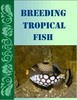 Thumbnail Breeding Tropical Fish