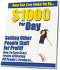 Thumbnail Make A $1,000 Per Day - MRR