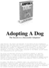 Thumbnail Secrets To Adopting A Dog