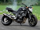 Thumbnail 2006 Yamaha FZ1-N, FZ1-NV, FZ1-S, FZ1-SV Service Repair Workshop Manual DOWNLOAD