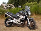 Thumbnail 2002-2003 Honda CB900F 919 Hornet Service Repair Workshop Manual DOWNLOAD (2002 2003)
