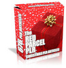 Thumbnail Christmas PLR Articles