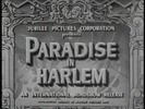 Thumbnail PARADISE IN HARLEM