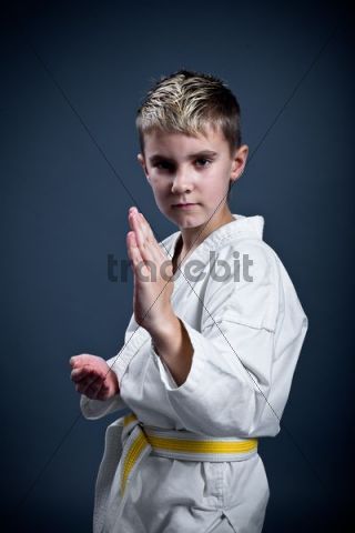 exercise clothes quotes karate People Download pose in Boy a exercise clothes quotes karate People Download pose in Boy a