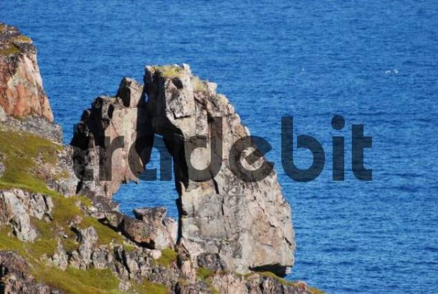 Coast of the Barents Sea, Russia - Download Nature