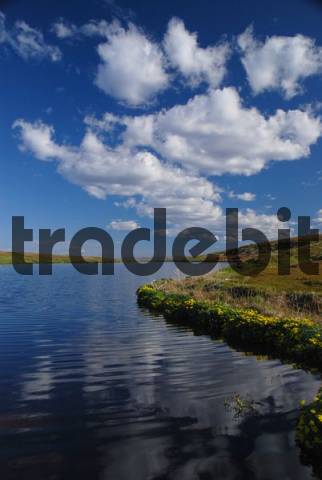 Coast of the Barents Sea, Russia - Download Nature