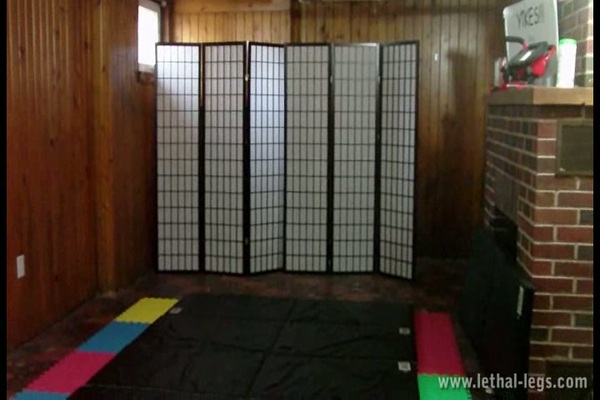 Pay for FFGFAN088 Thai Vixen Part 1