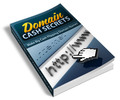 Thumbnail Domain Cash Secrets