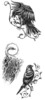 Thumbnail 3 x Tattoo flashes - Birds