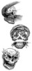 Thumbnail 3 x Tattoo flashes - Skulls