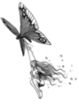 Thumbnail Tattoo flash - flying Fairy with butterfly 