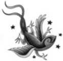 Thumbnail Tattoo flash - Bird-Gecko with stars