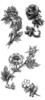 Thumbnail 4 x Tattoo flashes - Underskin: Flowers Thumbnail 4 x Tattoo flashes - Underskin: Flowers
