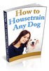 Thumbnail How To Housetrain Any Dog