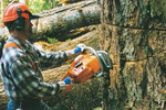 Thumbnail Chainsaw Operating Maintenance Manual