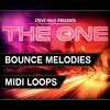 Thumbnail THE ONE: Bounce Melodies