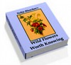 Thumbnail Wild Flowers Worth Knowing