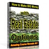 Thumbnail The King Of Real Estate Strategies Revealed - With Resale Rights