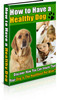 Thumbnail How To Have A Healthy Dog!