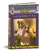 Thumbnail Big Book Of Pit Bull Breeders 