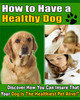 Thumbnail How To Have a Healthy Dog ebook PLR
