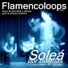 Thumbnail flamencoloops.com - Soleá por Bulerías