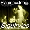 Thumbnail flamencoloops.com - Siguiryías