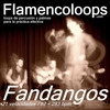 Thumbnail flamencoloops.com - Fandangos