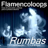 Thumbnail flamencoloops.com - Rumbas