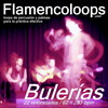 Thumbnail flamencoloops.com - Bulerías