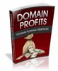 Thumbnail Domain Profits